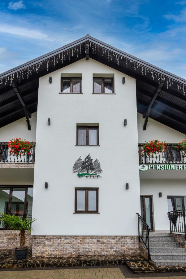 Pensiunea Paradisul Verde Moisei Exterior photo